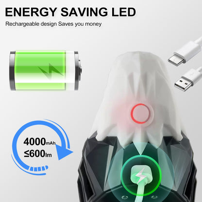 Bald Eagle Wall Light