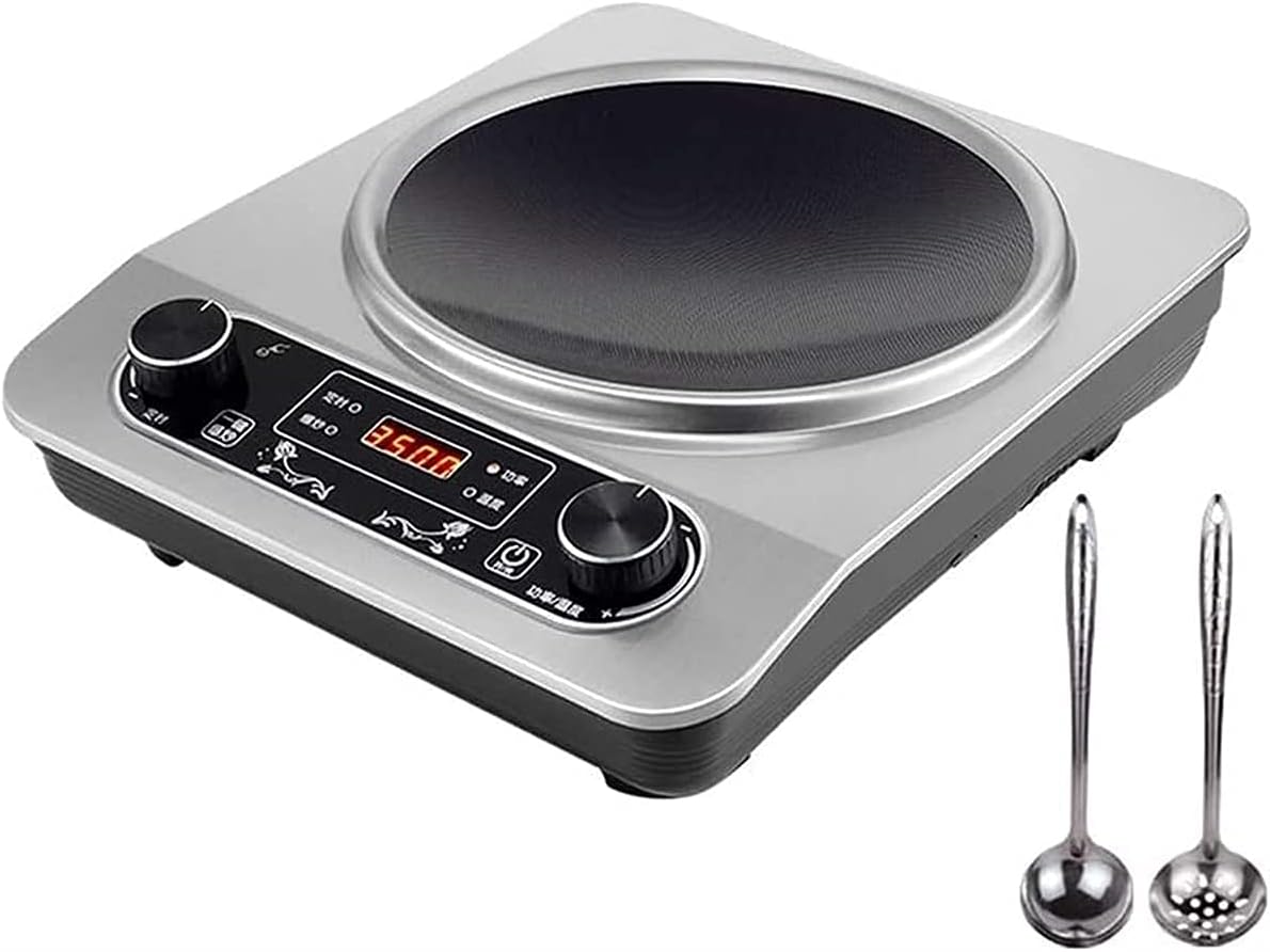 Electric Infrared Cooker