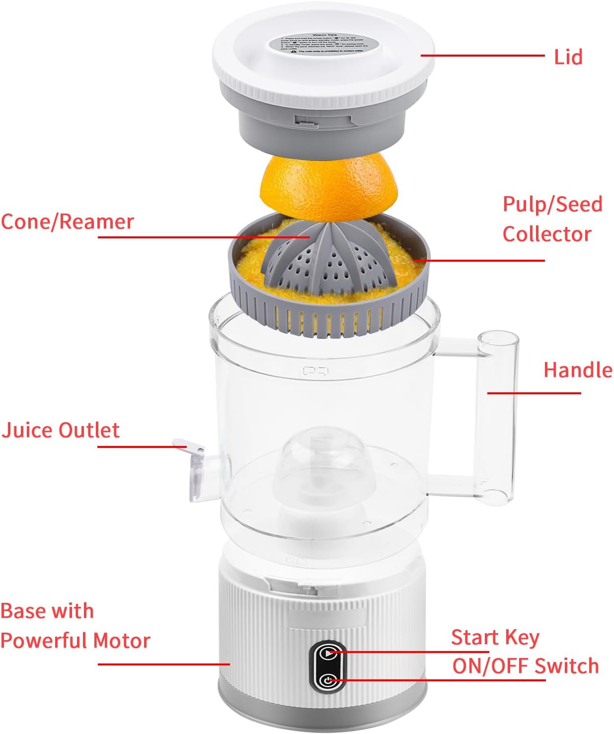 Electric Citrus Juicer