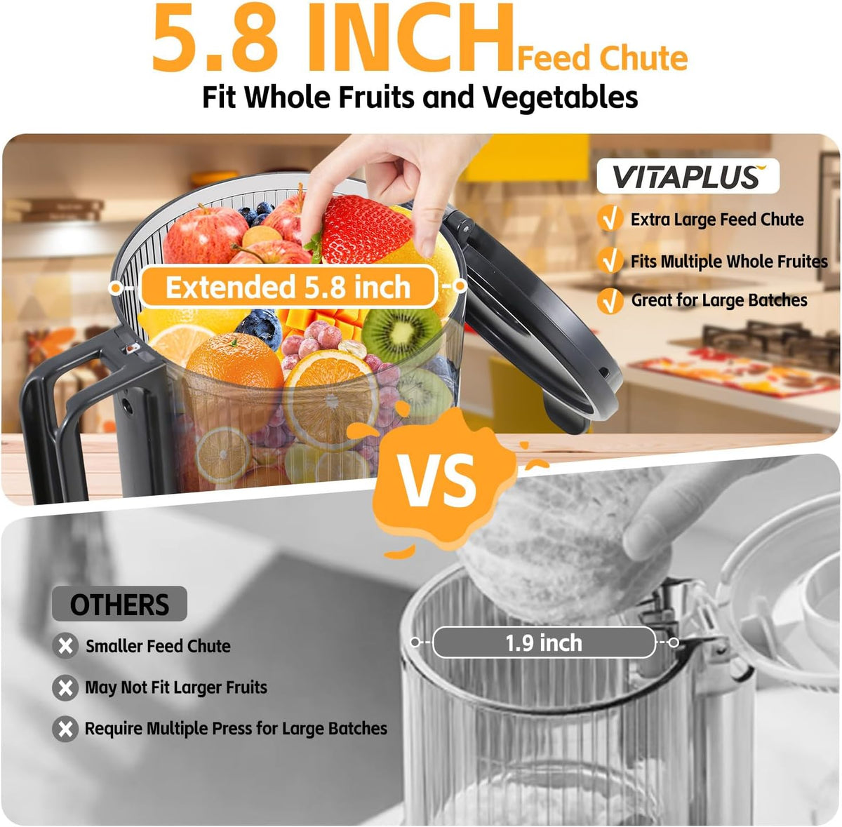 Cold Press Juicer with Stainless Steel
