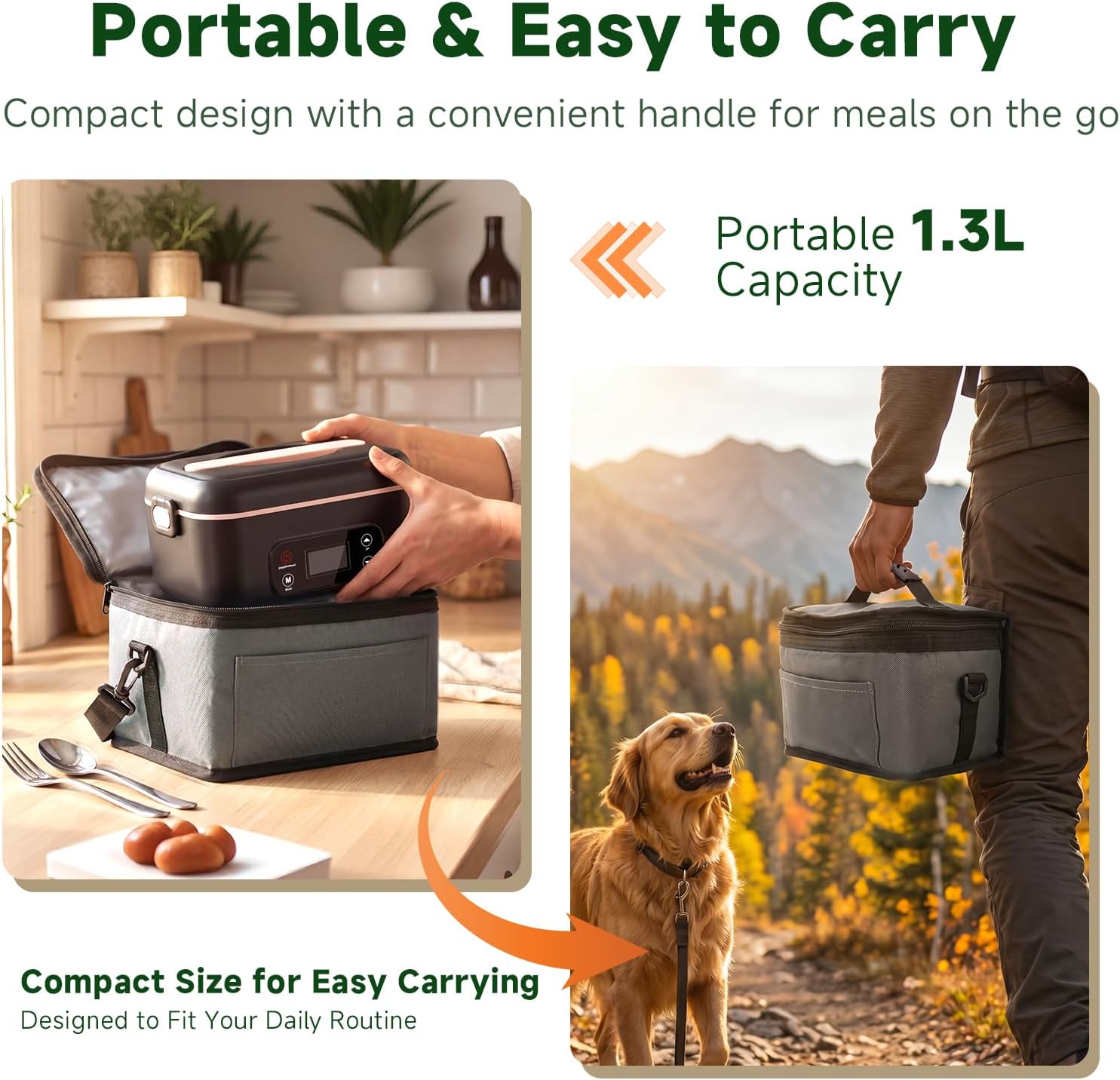 Cordless Electric Lunch Box