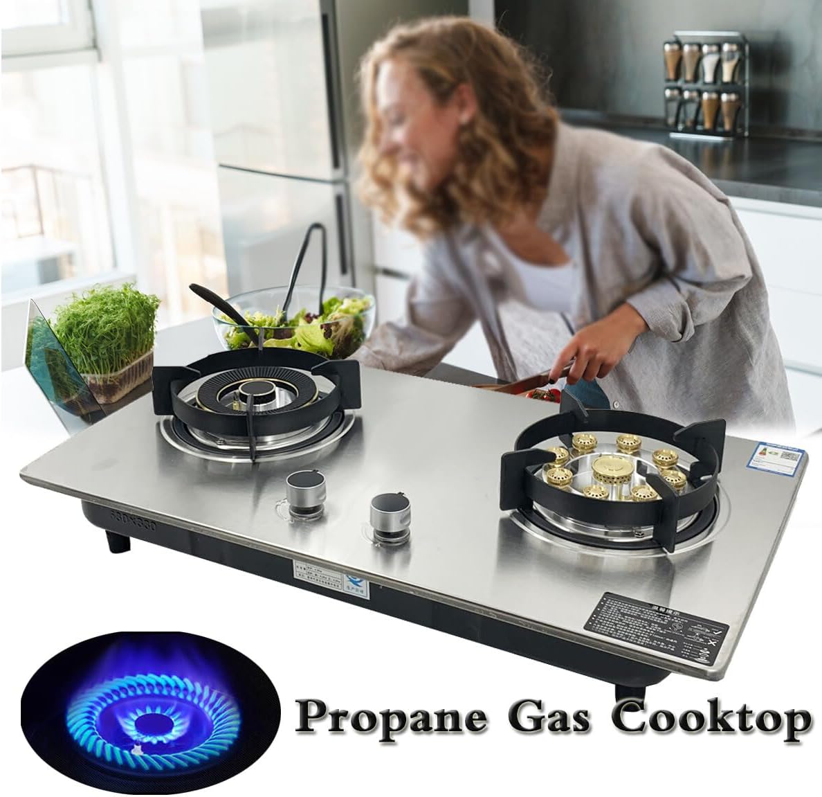 Stainless Steel 2 Burner Gas Hob