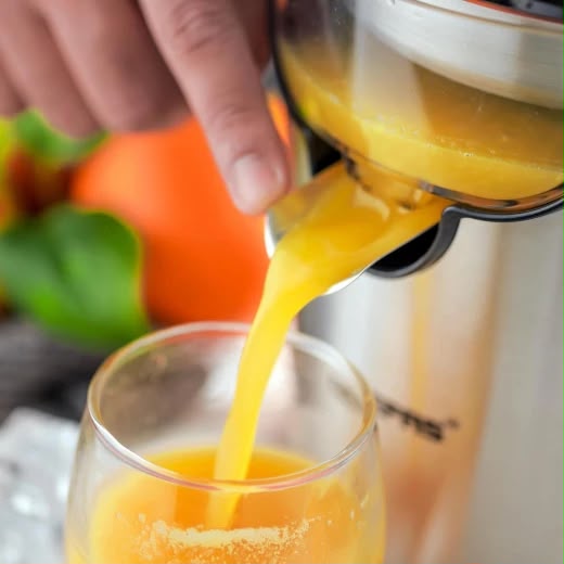 GEEPAS Electric Citrus Juicer
